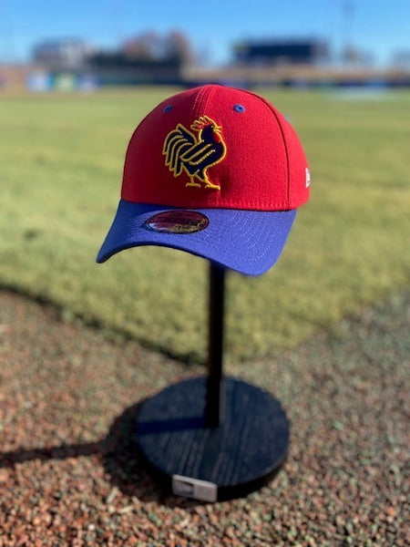 帽子 nessa6 39Thirty Naturals StretchFit Batting Practice Cap – Northwest